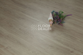 Tarkett Funky House GUSTO фото 4 | FLOORDEALER